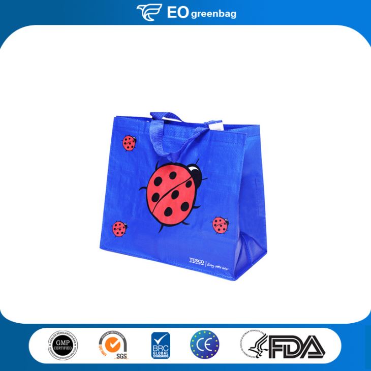 PP Woven Shopping Bags with Frame