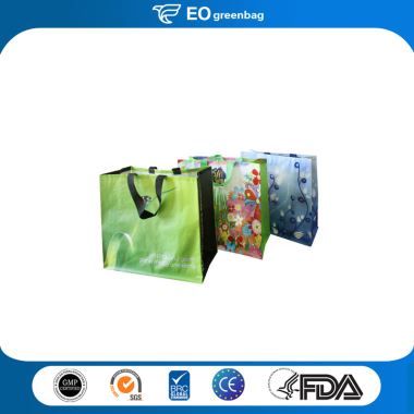 PP Woven Shopping Bags with Handles